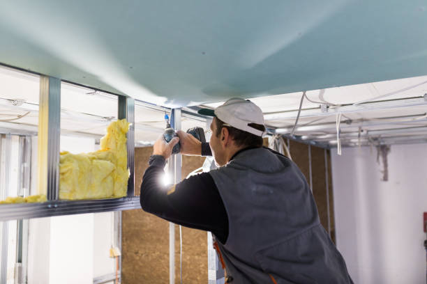 Best Eco-Friendly or Green Insulation Solutions  in Wilsons Mills, NC